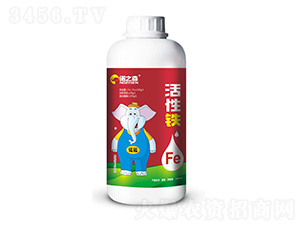 �����F-�Z֮ɭ