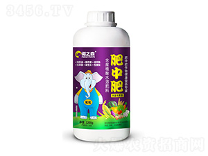 ����ֲ��ˮ�ܷ���-���з�-�Z֮ɭ