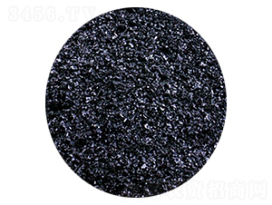 Ƭ�ֲ���-�𺣵|