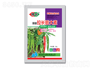 �������L�����-����