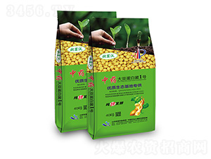 ��ˎ���󶹵��׾�1̖-�W�����F(tu��n)