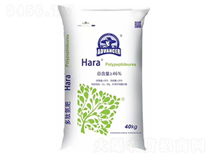 ���ĵ�-���ۻ��W(xu��)