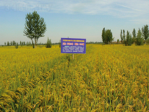 ����28̖-ˮ���N��-���S�N�I(y��)