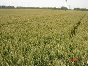 ��(j��)��22-С���N��-�y�d�N�I(y��)