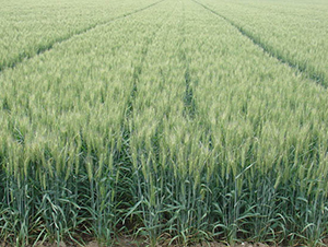 ɽ�r(n��ng)24̖(h��o)-С���N��-�y�d�N�I(y��)