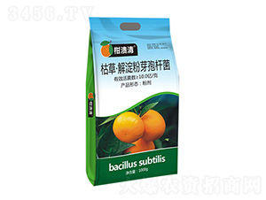 �ݲݡ������ѿ�ߗU��-�̝���-�T�_(d��)