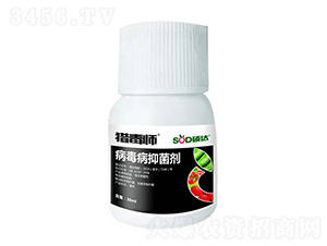 ���������Ƅ�-�T�_(d��)