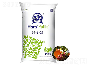 �����16-6-25-���ۻ��W