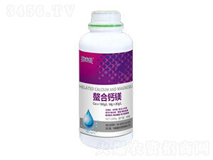 �����}�V-ʩ̩��