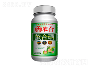 �������~���-�r(n��ng)��-�����r(n��ng)�I(y��)