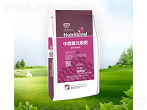 ����Ԫ�ط�-���\�}�V�F-������ 