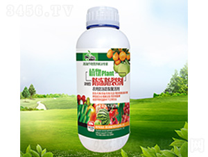 ֲ��������ф�-������