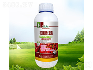 �������t��-������