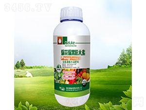 �������������-������