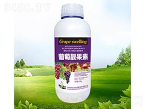 �����n����-������