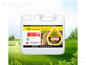 ����Ԫ-������