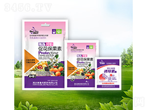 �����ڷ۴ٻ�������+�T��(d��o)��-������