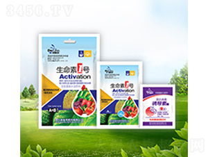 ������1̖(h��o)+�T��(d��o)��-������