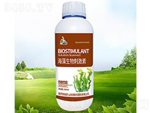 ��������̼���-������