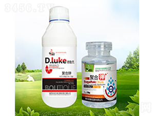 �ۺ��-������