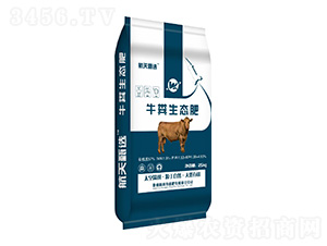 ţ�S���B(t��i)��-�����ЙC(j��)��