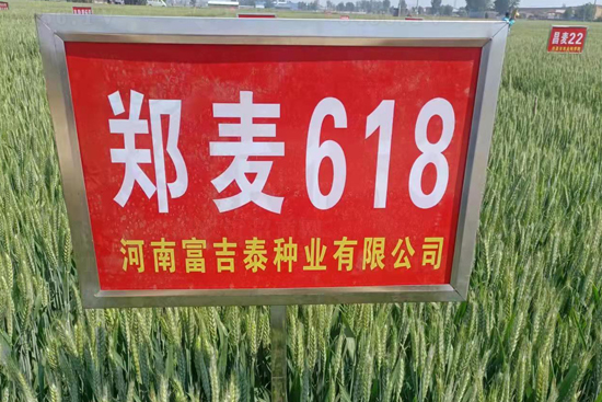 ����618-С���N��-���ԷN�I(y��)