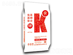 �������������-¡���ʘI(y��)