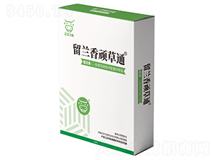 ���m���B��ͨ-���A����