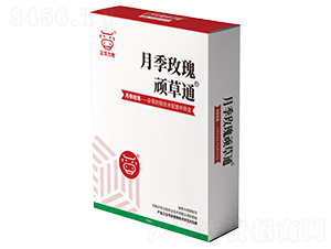 �¼�õ���B��ͨ-���A����