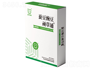 �Q���㶹�B��ͨ-���A����