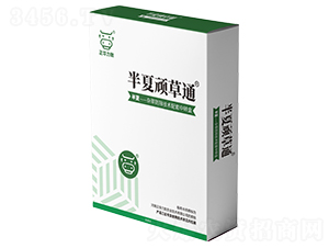 �����B��ͨ-���A����