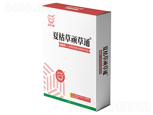 �Ŀݲ��B��ͨ-���A����