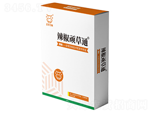 �����B��ͨ-���A����