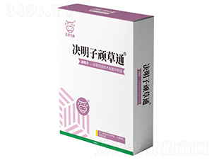 �Q�����B��ͨ-���A����