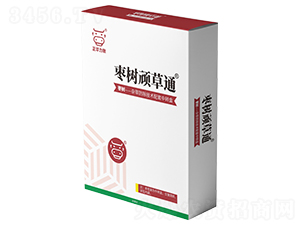 �����B��ͨ-���A����