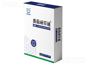 �����B��ͨ-���A����