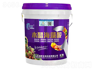 ľ�׺�����-�˕N����