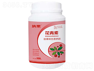 ������-�{��-�{�ƵV�I(y��)