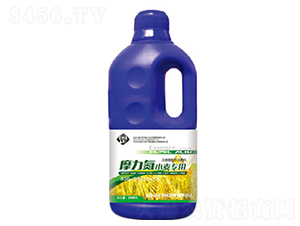 Ħ����С������׷��-������