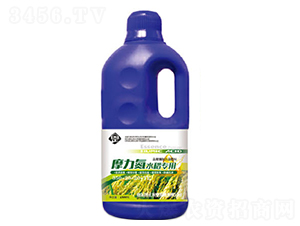 Ħ����ˮ����(zhu��n)��׷��-������