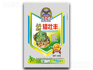 �󶹻��������S-��ʿ��