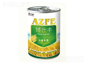 С�����ð����S-��ʿ��