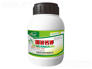 ���\�}⛣�500g��-��ʿ��