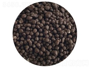 �ͺϷ�-ʢ�����l(xi��ng)