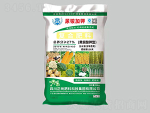 �S������͏ͺϷ���22-0-5��50���-�P������