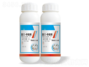 50%���١�����������-��˹����