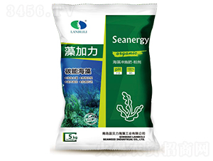 ����_ʩ��-�����-�{ؐ��