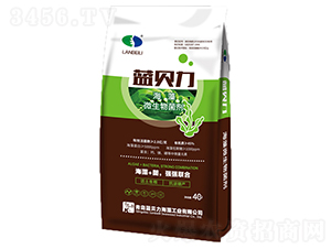 ����΢�������-�{(l��n)ؐ��