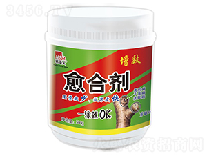 500g��Ч���τ�-�r(n��ng)ʥ��