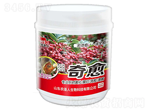 ����-�r(n��ng)ʥ��